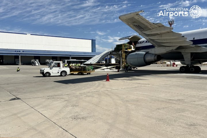 В АО «Uzbekistan Airports» дали разъяснения о выявленных нарушениях при госзакупках