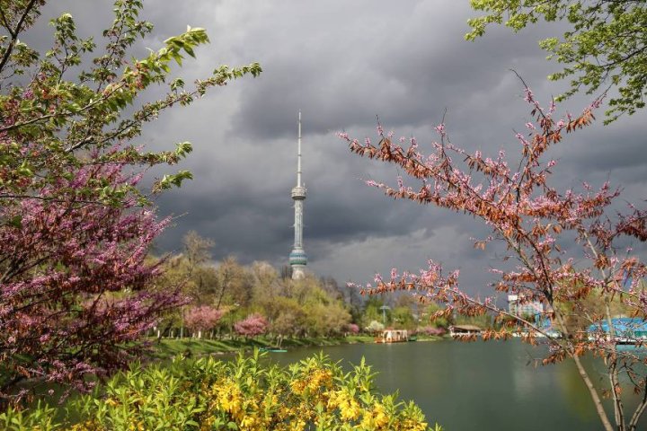 Опубликован прогноз погоды в Узбекистане на 14 августа