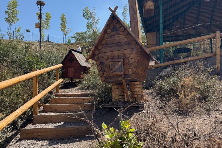 Прогноз погоды на 18 августа: дожди и грозы надвигаются на Узбекистан