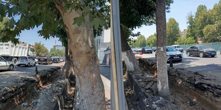 В Ташкенте на улице Шота Руставели ребенок получил серьезную травму