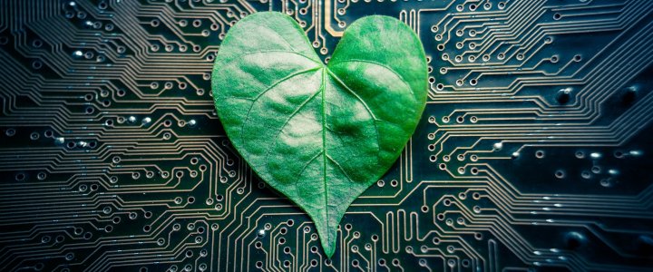 Эксперты рассказали, как зарабатывать меняя мир к лучшему