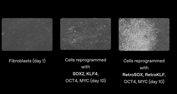Научный мир в шоке: ИИ нашел способ достичь вечной молодости и жизни