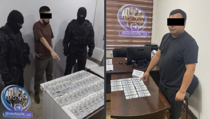 Латвия стала новым направлением мошенников в Узбекистане для трудоустройства