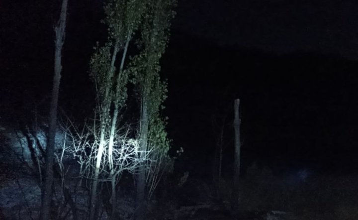 Более десяти деревьев пострадали в результате пожара в горах Манак-Ота Андижанской области