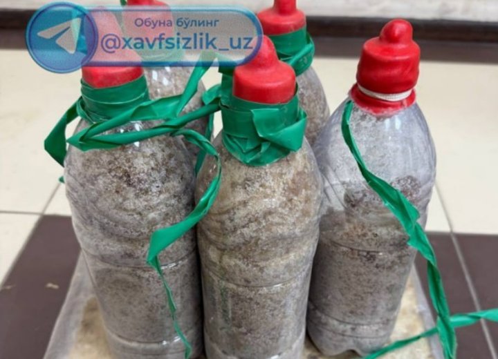 В Ташкентской области задержан студент, который выкапывал мастер-клад с синтетическими наркотиками