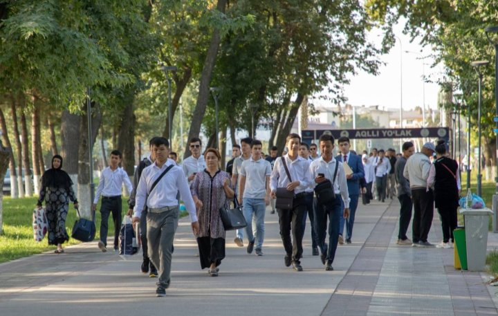 Стало известно, когда начнутся занятия в вузах и лицеях Узбекистана