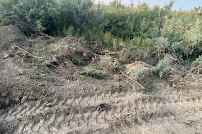 В Самарканде привлекли к ответственности водителя экскаватора, который нанёс значительный ущерб природе