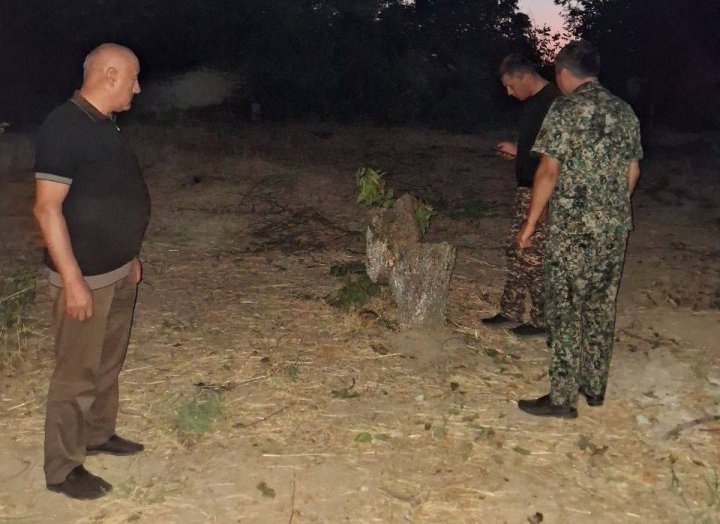 Экологи установили ущерб от варварской вырубки деревьев в Кибрае - видео