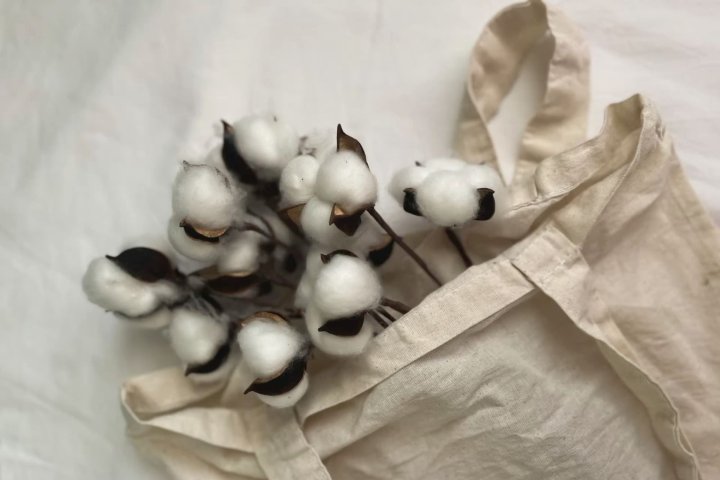 В Узбекистане установлены цены на сбор хлопка в текущем году