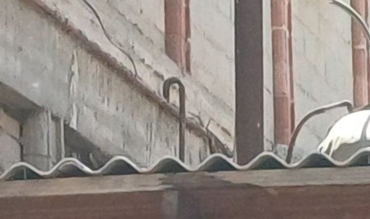 В столовой частного предприятия в Денау крали природный газ