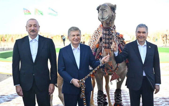 Гурбангулы Бердымухамедов подарил Шавкату Мирзиёеву верблюда и верблюжонка