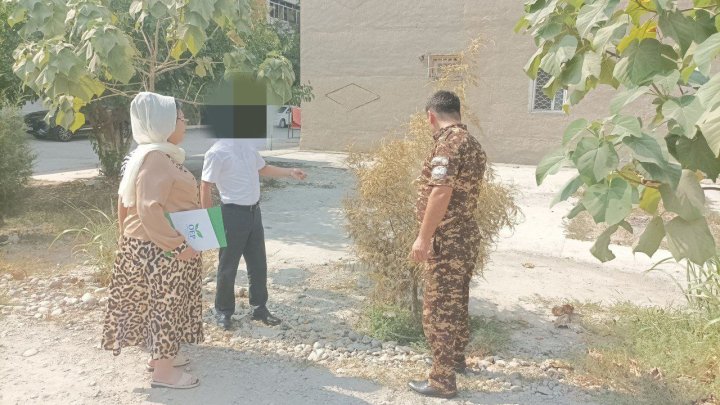 В Маргилане наказали штрафом гражданина, который не уследил за высаженными молодыми деревьями