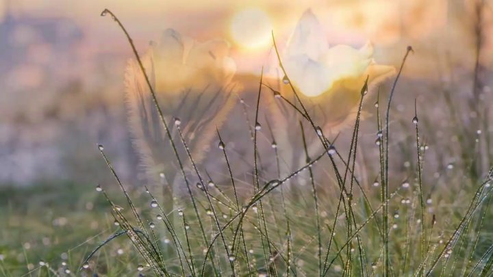 В Узбекистане ожидается прохладная погода