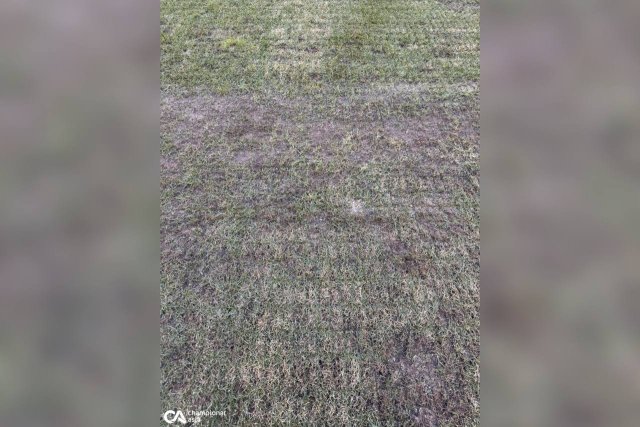 Как выглядит газон «Бунёдкора» после концерта Дженнифер Лопес