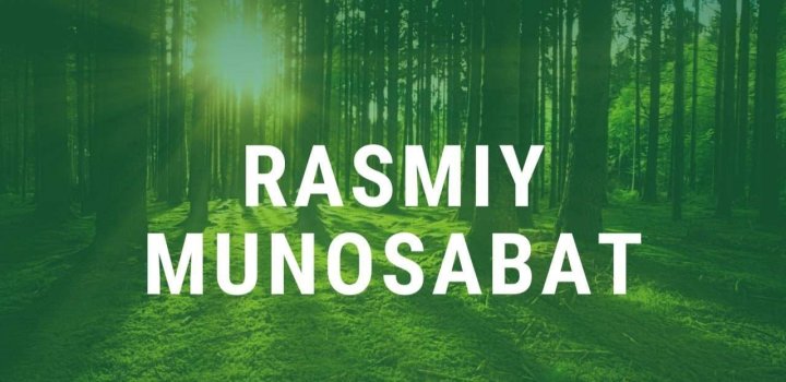 В Кашкадарье незаконно срубили и повредили десятки деревьев, ущерб превысил 122 млн сумов