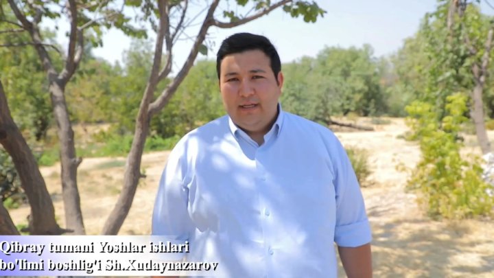 В Кибрае чиновник выступил на фоне срубленных зелёных деревьев, громко заявив, что они были засохшие