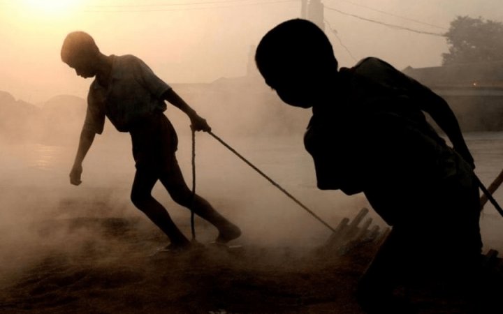 В Узбекистане начались рейды по искоренению принудительного труда в школах