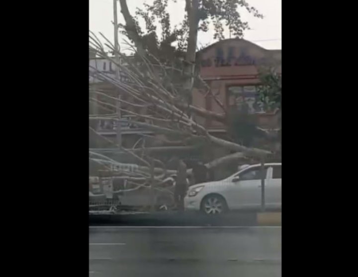 Непогода в Андижанской области нанесла ущерб водителю Damas