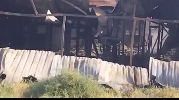 Как сейчас выглядит рынок «Uch qahramon» после ночного пожара? — видео