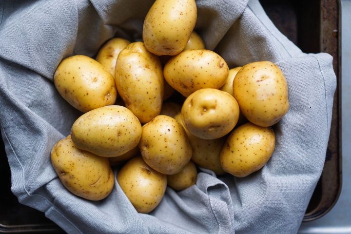 Картофельный рейтинг: где в Узбекистане собрали самый большой урожай