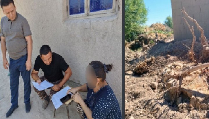 В Хорезме женщине выписан штраф за вырубку четырёх сухих деревьев