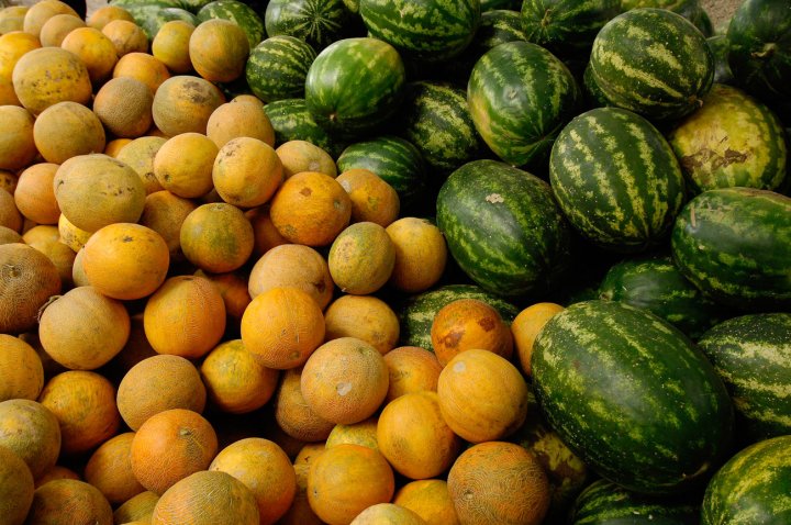 В Узбекистане объём производства бахчевых культур увеличился на 8,3%