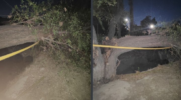 Ночью, из-за упавшего дерева, несколько десятков домов в Учтепинском районе остались без газоснабжения