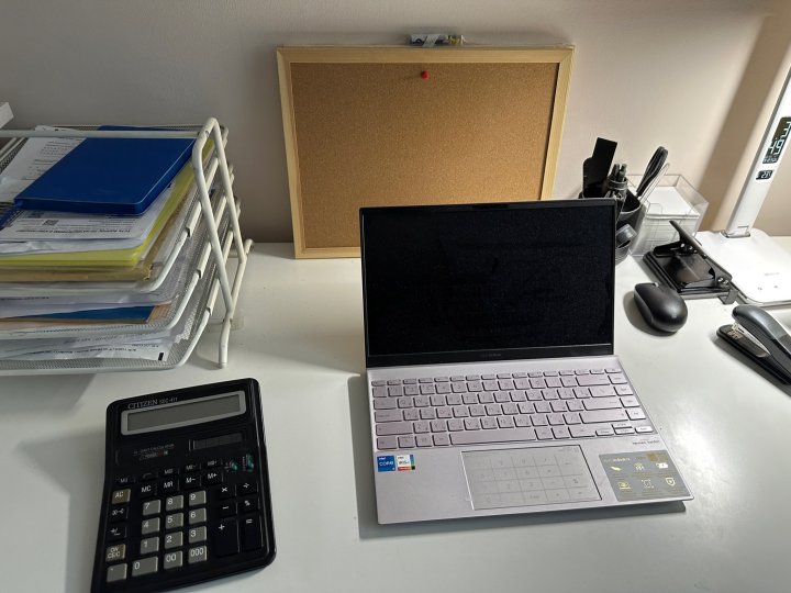 В Узбекистане бухучёт и правовая сфера показали впечатляющий скачок