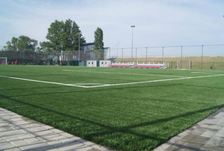 В России раскритиковали футбольные реформы в Узбекистане