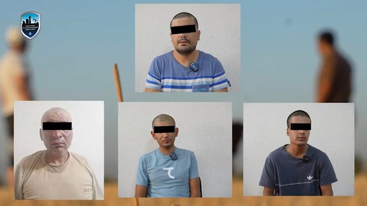 15 эпизодов кражи крупного рогатого скота раскрыли в Навоийской области