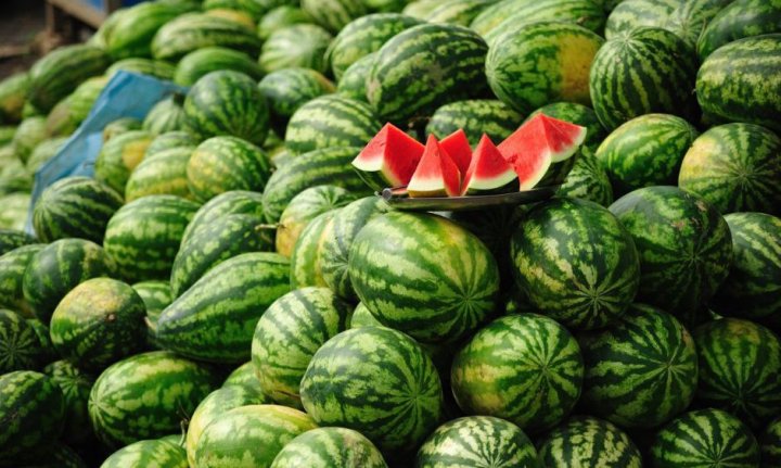 В Ташкенте опровергли слухи о массовых отравлениях арбузами