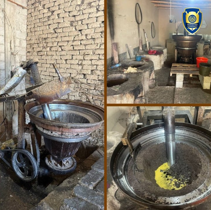 В Кашкадарье выявлены два подпольных цеха по производству растительного масла