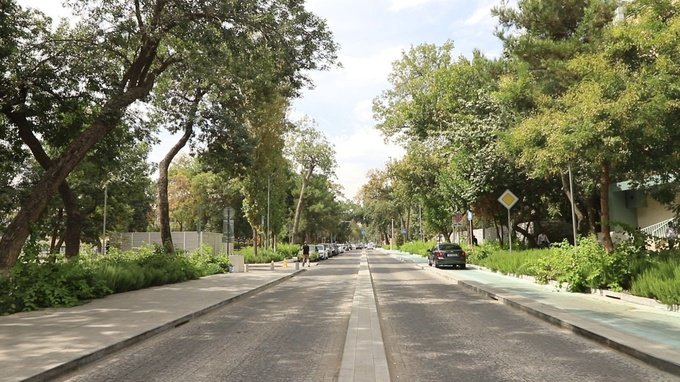 «Самая лучшая улица страны»: жители Ташкента оценили новый проект «Узбекистон овози»