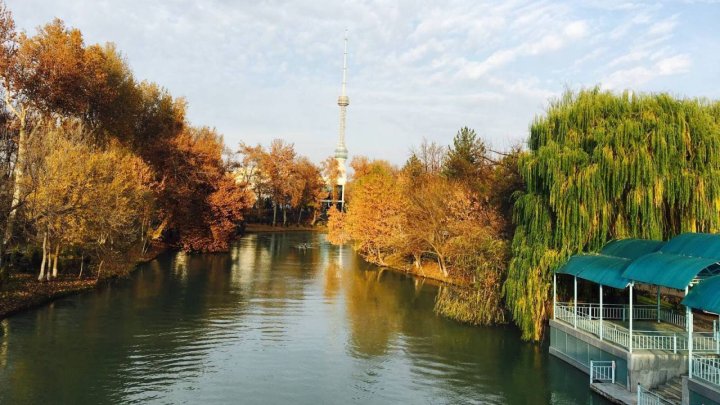 Опубликован прогноз погоды в Узбекистане с 9 по 12 сентября