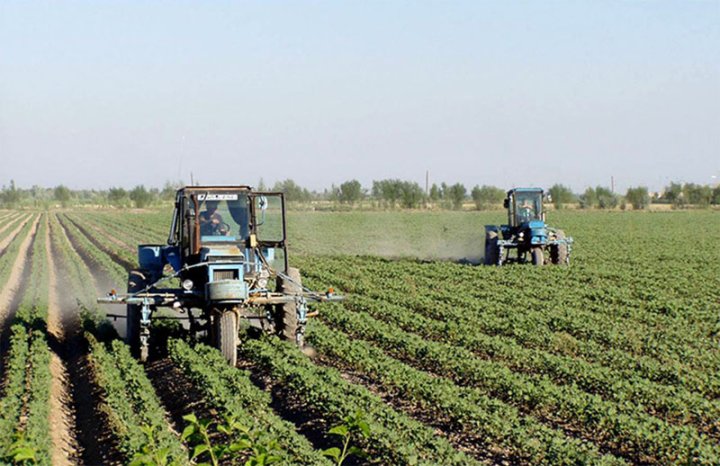 Земля как рыночный актив: в Узбекистане переводят сельхозугодья на аренду