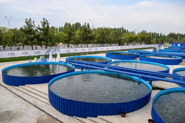 В Намангане анонсированы проекты на миллиарды долларов