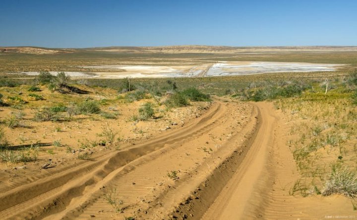 Стало известно, как Узбекистан планирует бороться с нехваткой воды