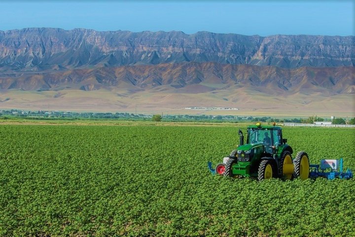 В Узбекистане отменят НДС на сельхозпродукцию, но не для всех