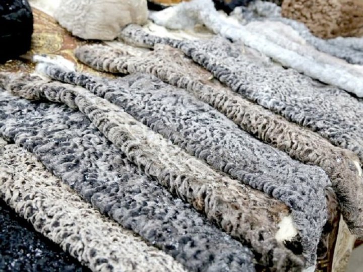 Объём каракулевых шкур в Узбекистане увеличился на 2,3%