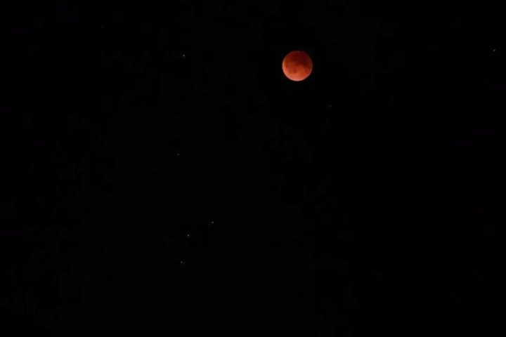 Узбекистанцы застали «Кровавую Луну»