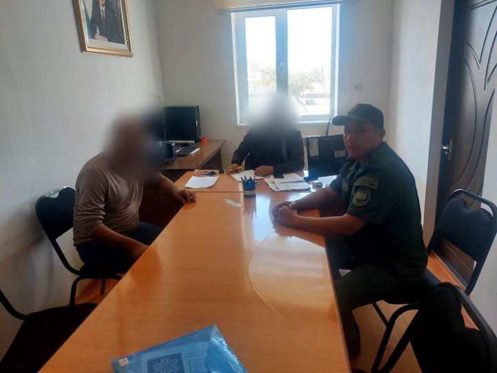 В Навои наказали двух ответственных лиц, которые допустили гибель деревьев