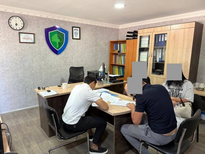 Житель Мирзо-Улугбекского района наказан крупным штрафом за вырубку дерева