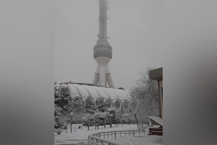 Узбекистанцев напугали аномальными холодами и снегом