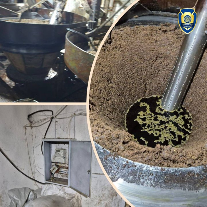 В Шахрисабзе мужчина занимался подпольным производством растительного масла