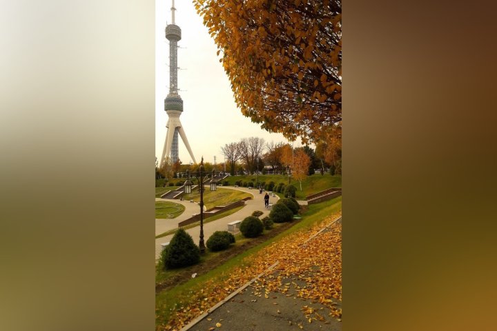 Прогноз погоды на 10 сентября: Узбекистан ждёт жара, а горы — дожди