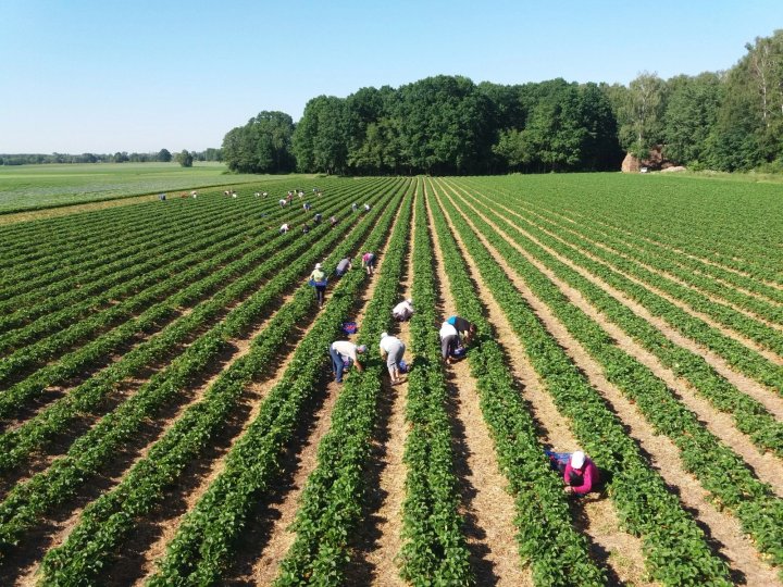 Опубликованы требования для узбекистанцев, желающих получить работу в Англии