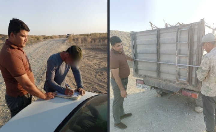 Экологи продолжают выписывать огромные штрафы жителям Бухары, которые рубят саксаул