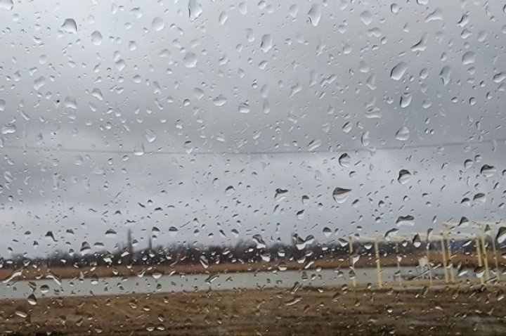 В Ташкенте ожидается дождь