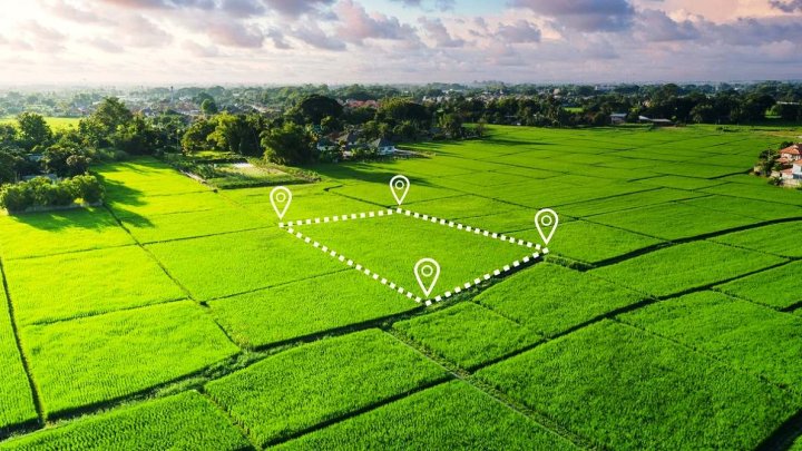 1 сум за землю: Узбекистан кардинально меняет правила игры на рынке недвижимости