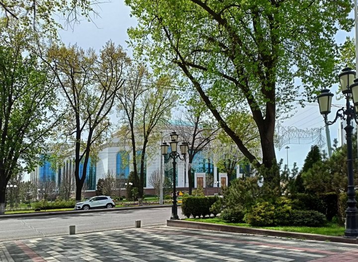 Жара не отступает: Прогноз погоды на 4 сентября в Узбекистане